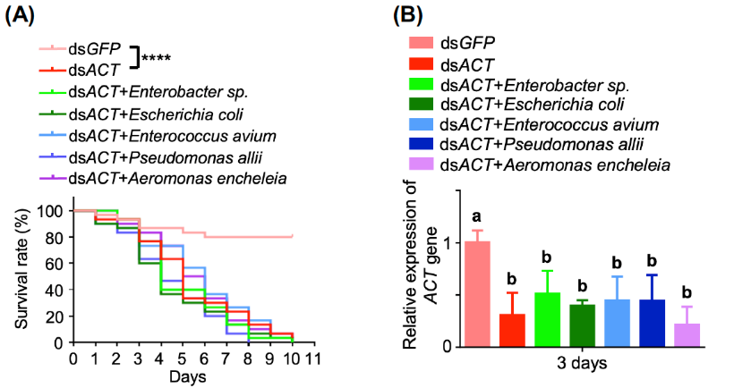 A comparison of a number of cellsDescription automatically generated with medium confidence