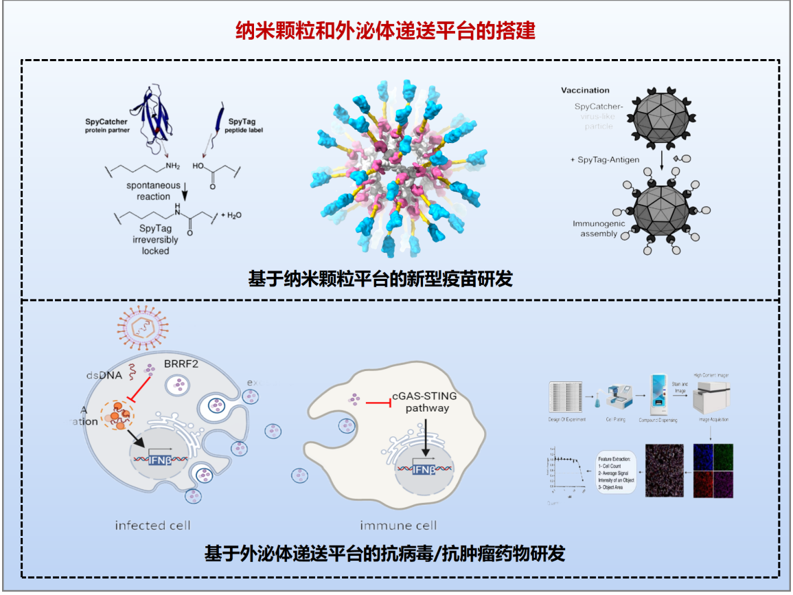 陈明周教授团队科技进展2023-12-12-6666_01(4)