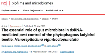 The essential role of gut microbiota in dsRNA-mediated pest control of the phytophagous ladybird beetle, Henosepilachna vigintioctopunctata | npj Biofilms and Microbiomes - 360极速浏览器 13.5
