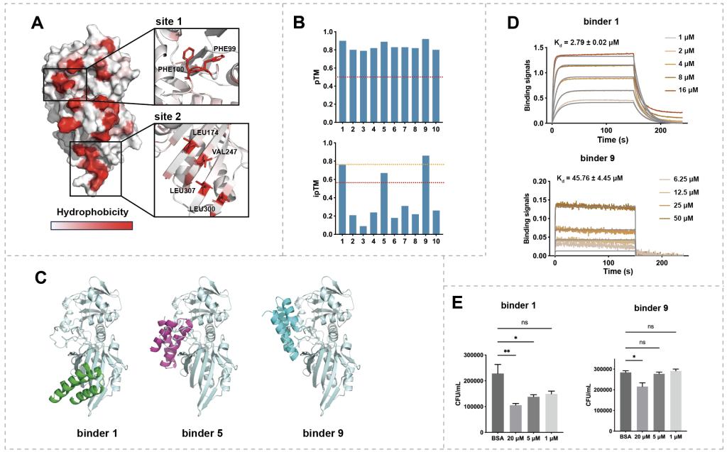 图示AI 生成的内容可能不正确。